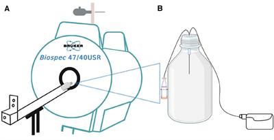 In-vitro gadolinium retro-microdialysis in agarose gel—a human brain phantom study